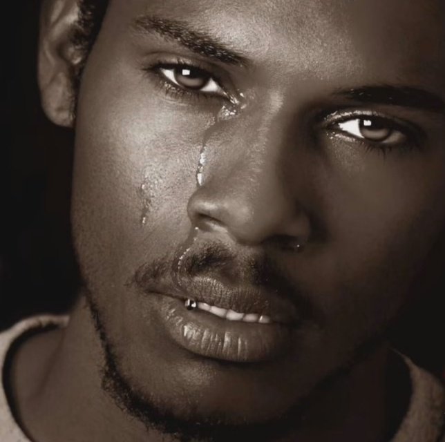 LabMadeCheese tweet media