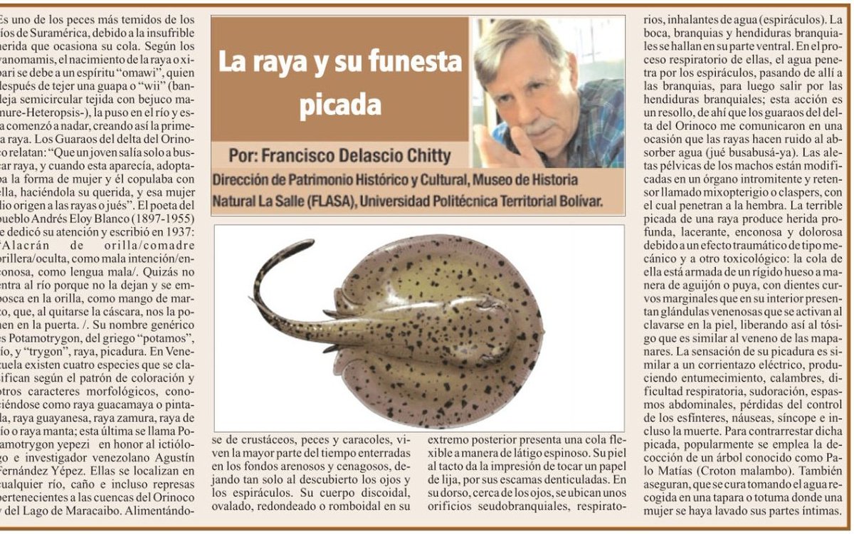 Fritz Sanchez tweet media