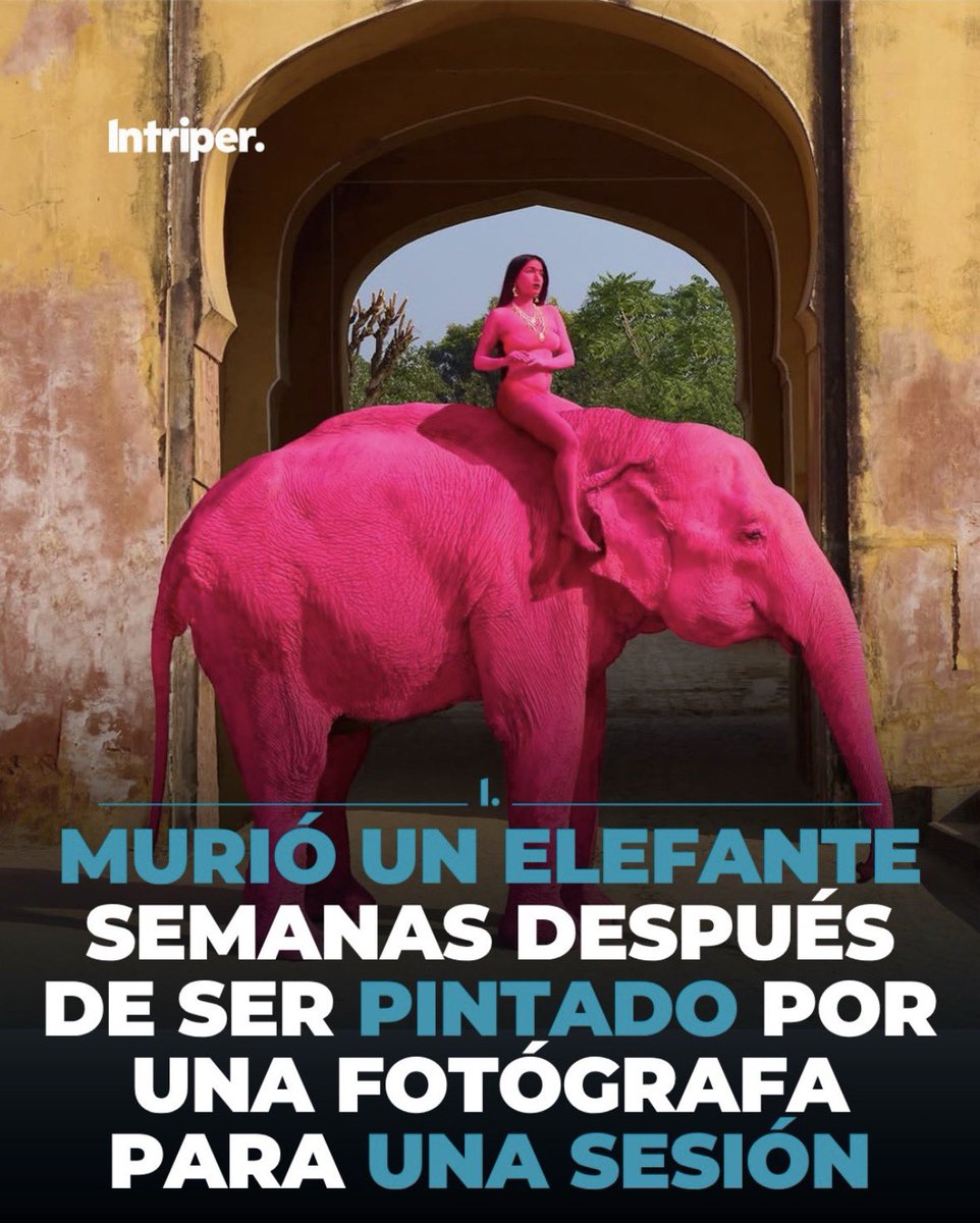 intriper tweet media