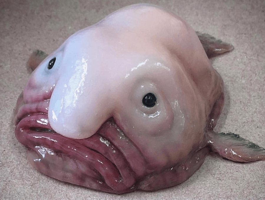 Quetzal.btc tweet media