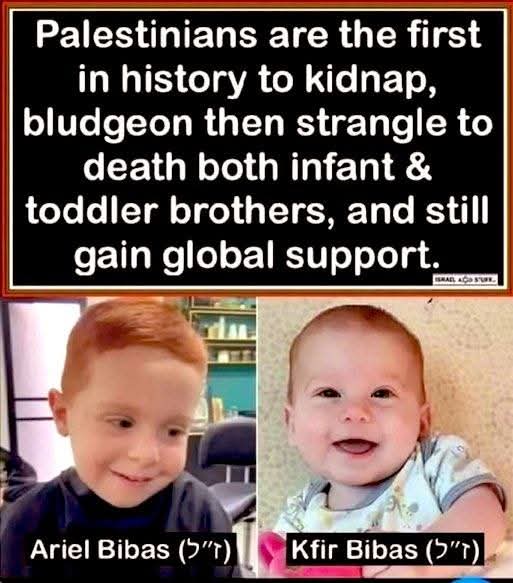 Phoenixrisen tweet media