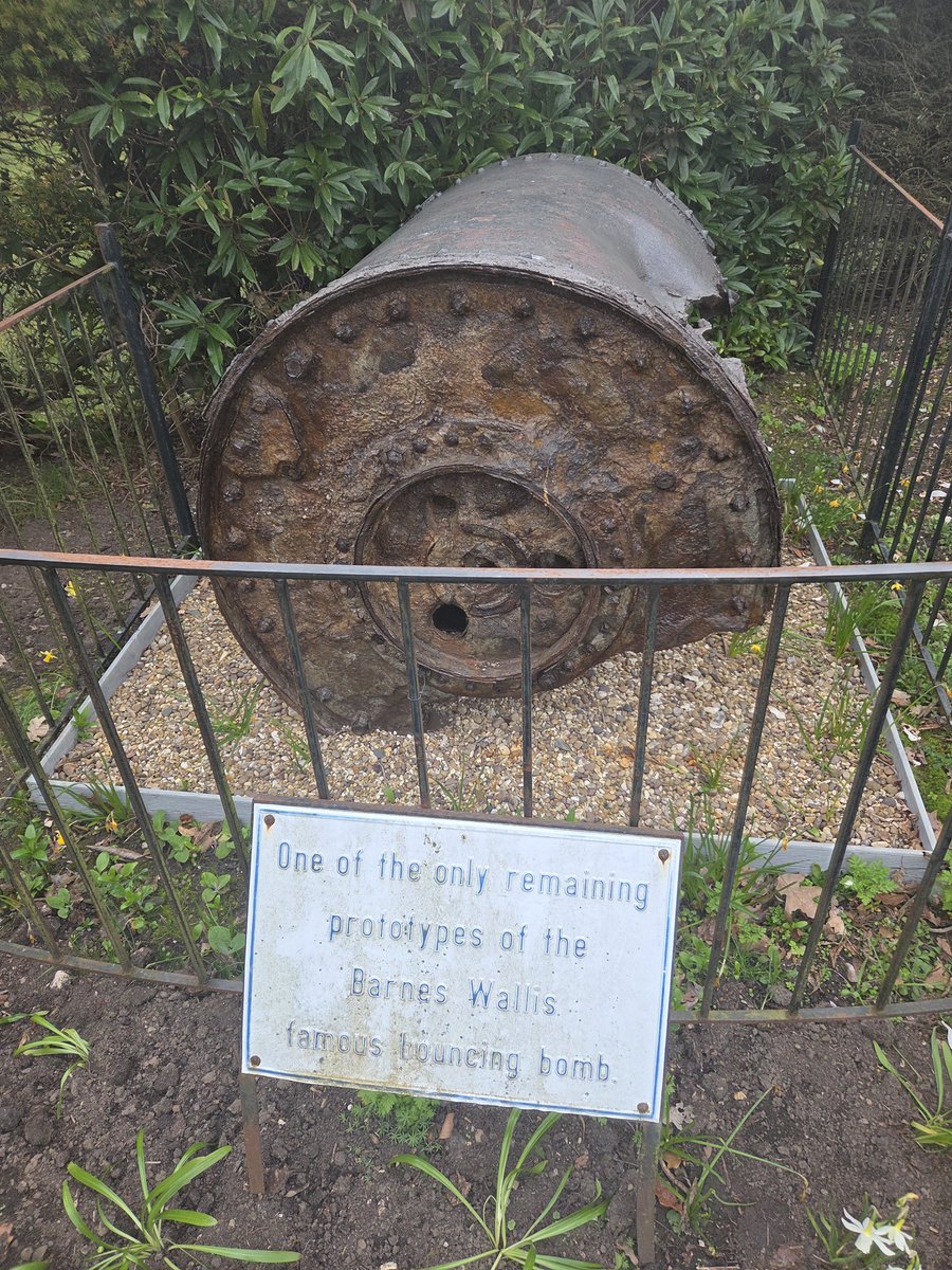 LordHardThrasher tweet media