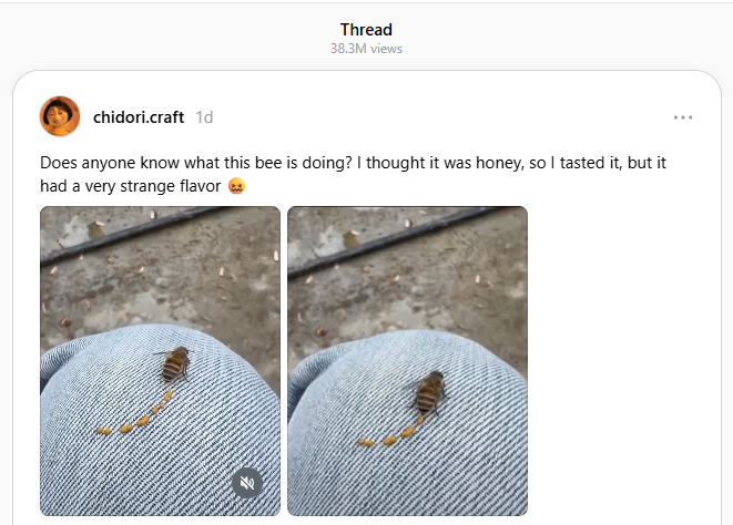 The post was originally on threads which actually has more views than the tweet!

38.3m views!

+ 17m views on twitter means 55m total views.