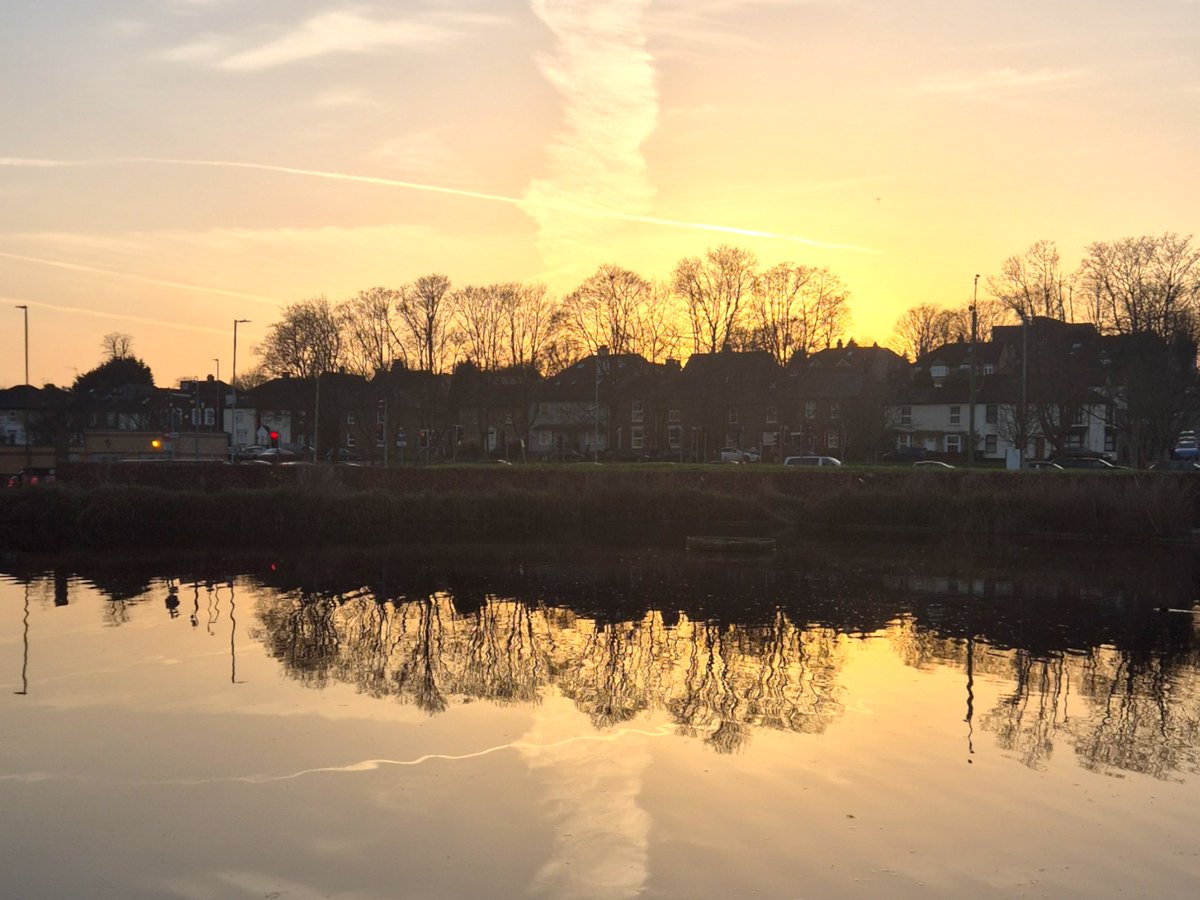 Angus Grady tweet media