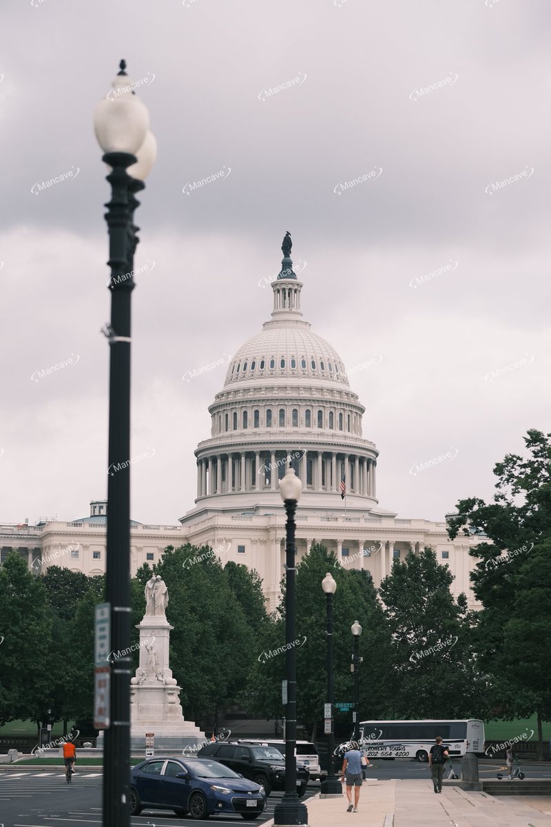 W_Mancave tweet media