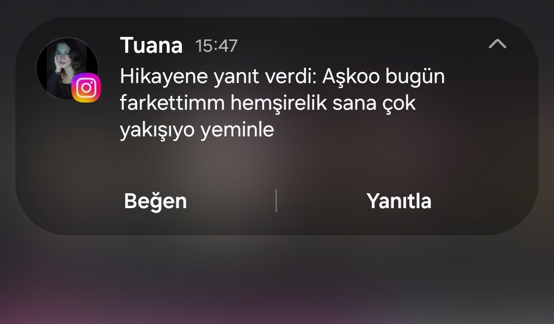 pinarik00's tweet photo. aldığım en iyi iltifat🫠 https://t.co/HnvZAxc9oI