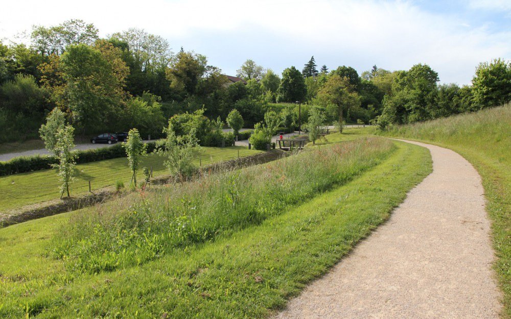 LyonStrates tweet media