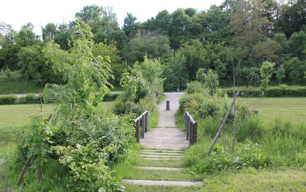 LyonStrates tweet media