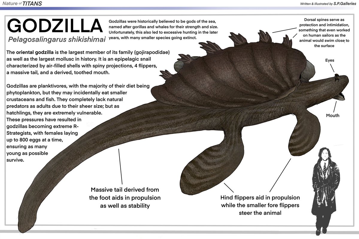 Magosnik tweet media