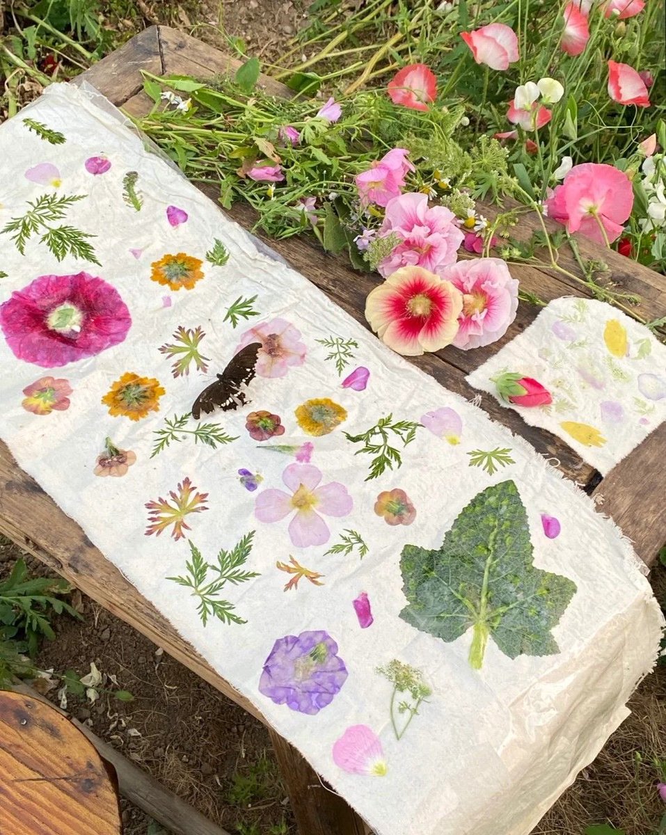 💐🦢🕯. (@diaryofalovagrl) on Twitter photo 