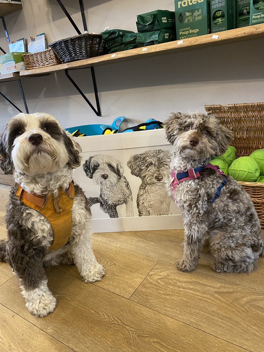 BeMoreBob tweet media