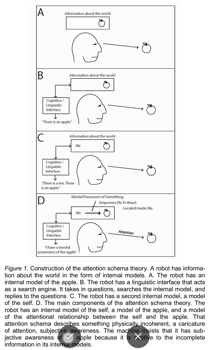 eval laden tweet media