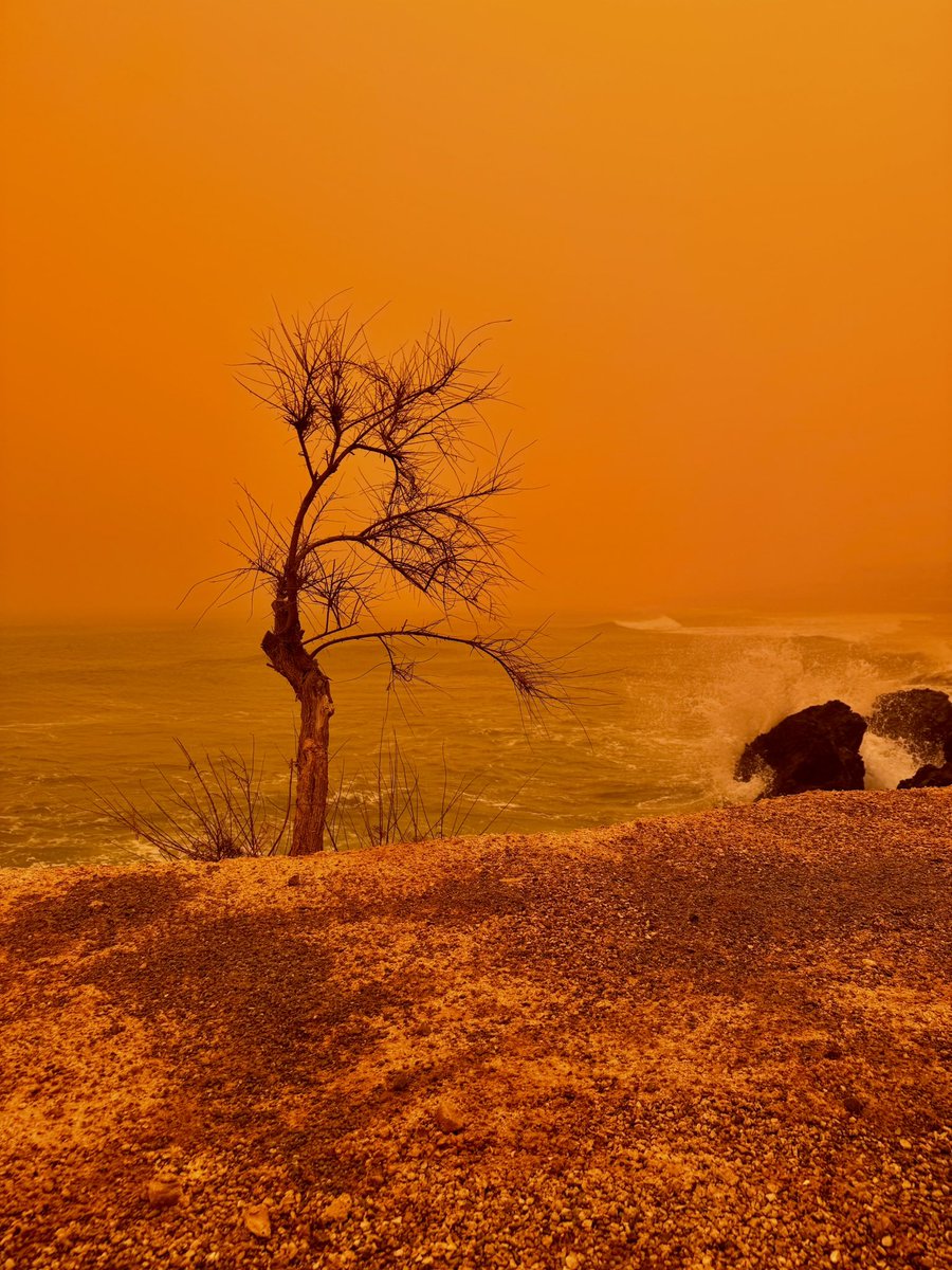 Katerina tweet media