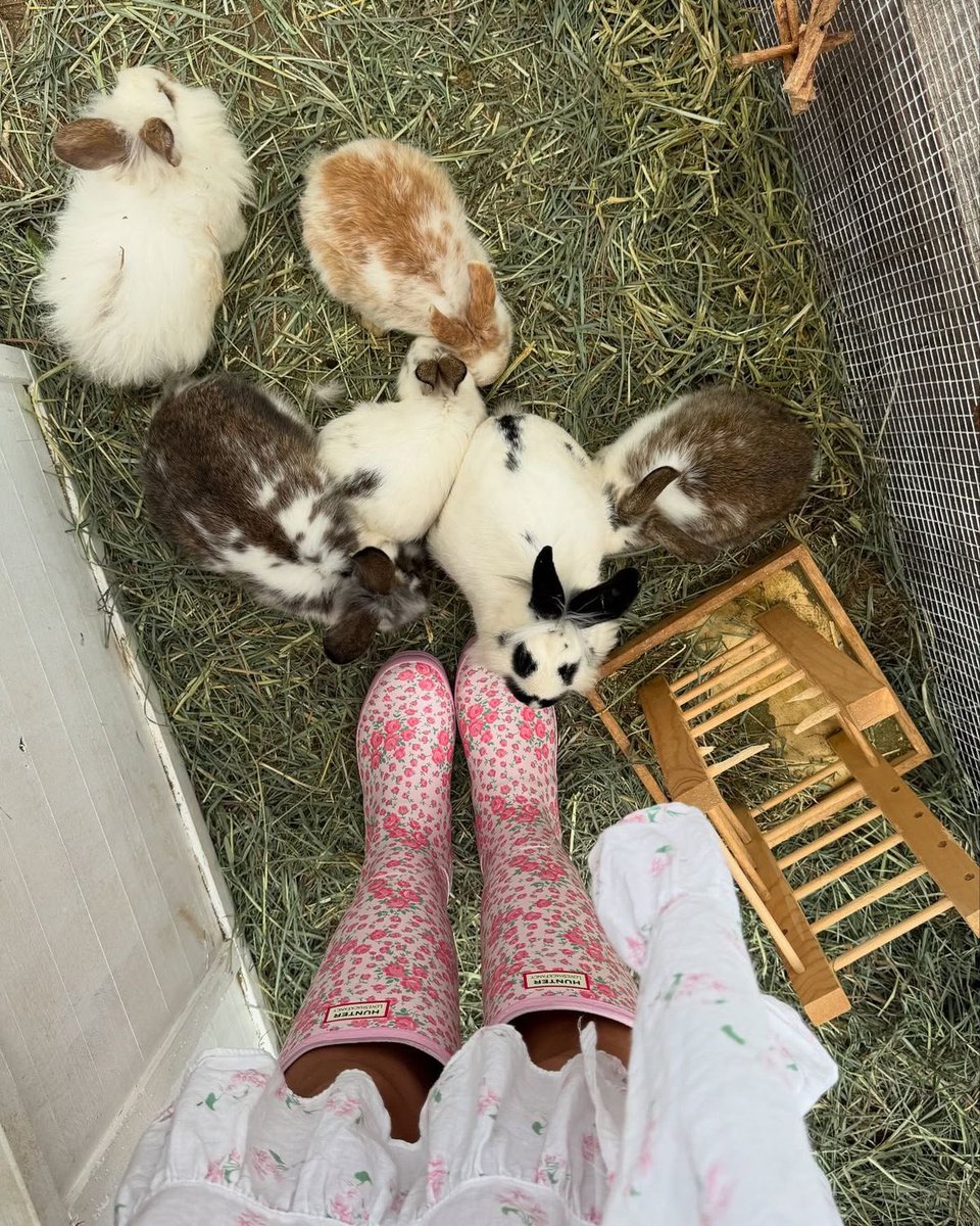 🎀🦢🕯. tweet media