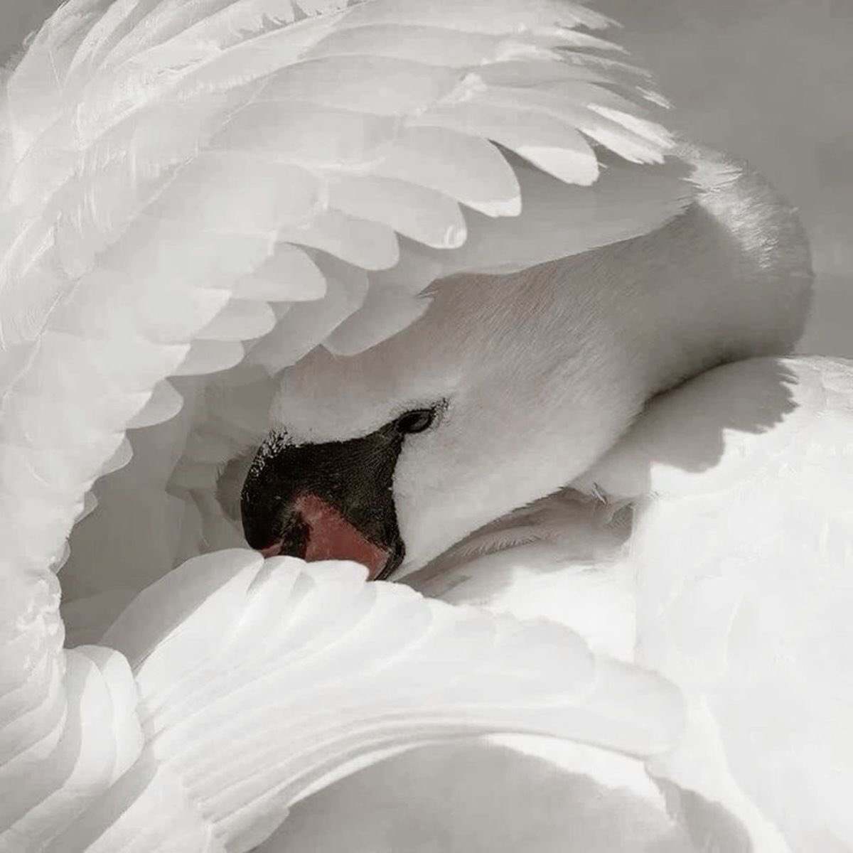 lu✩°｡⋆ tweet media