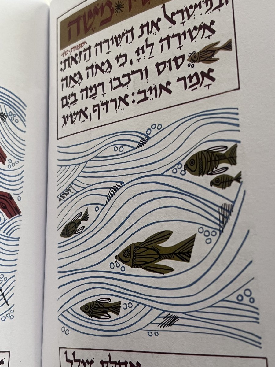 יששכר⛈️המטביל👼🏻✝️ tweet media