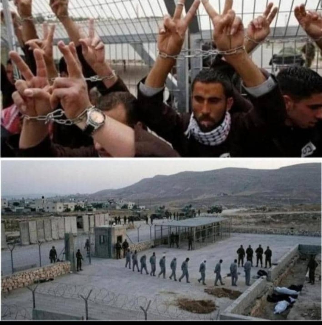 🚨10 الف أسير #فلسطيني يواجهون حكم الإعدام وهم خلف القضبان… هل أنتم مستوعبين هول هذا الرقم؟ 😢 
هذه ليست مجرد أرقام أو إحصائيات… هؤلاء أرواح، أحلام، أمهات وآباء وأطفال لهم عائلات تنتظر لحظة الحرية.
الاحتلال يحاول كسرهم بالصمت والتعذيب والإهمال… لكن صوتهم لازم يوصل للعالم.
📌