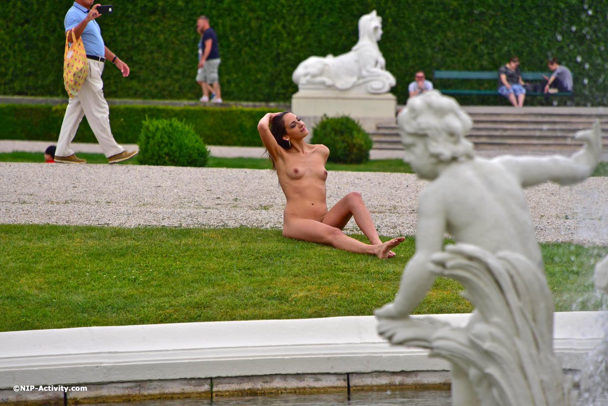 NIP-Activity.com tweet media