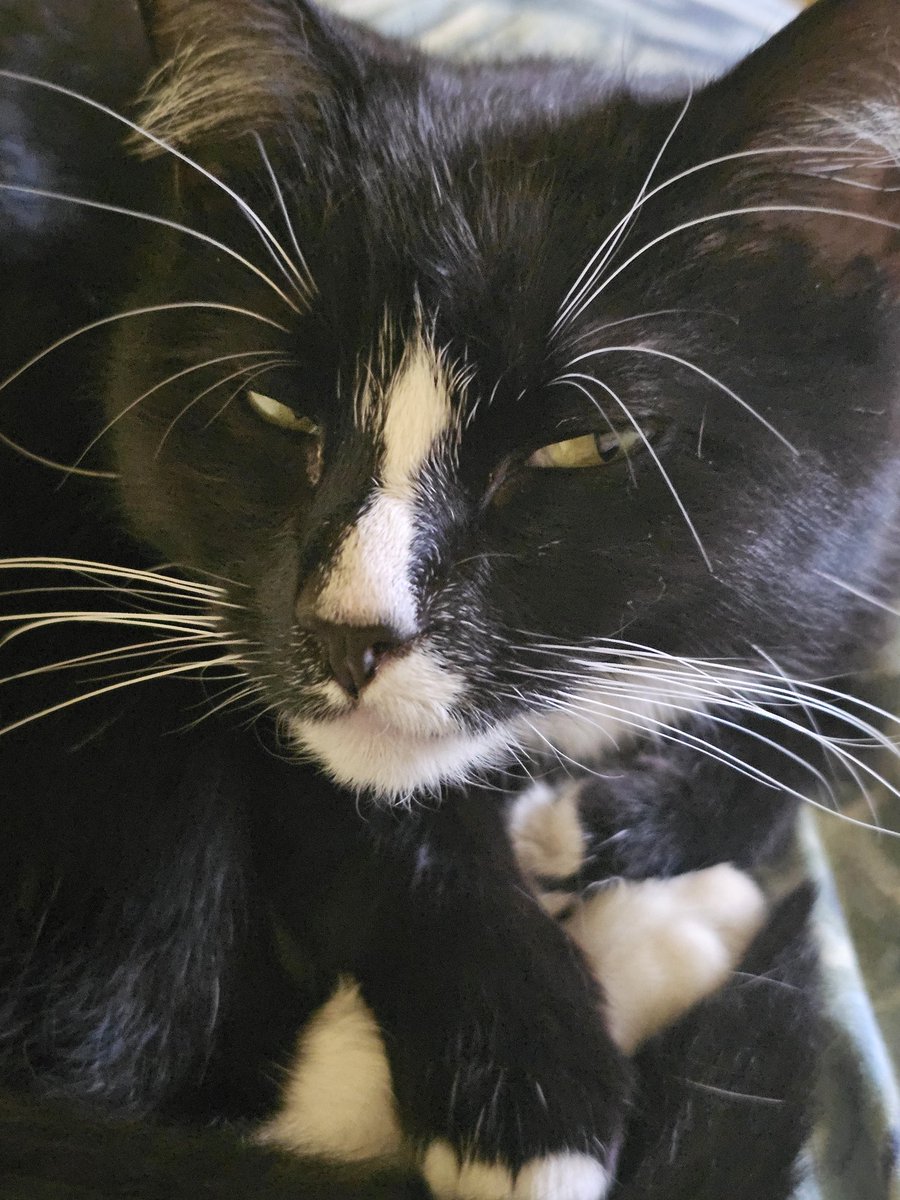 Noo 🎗 tweet media