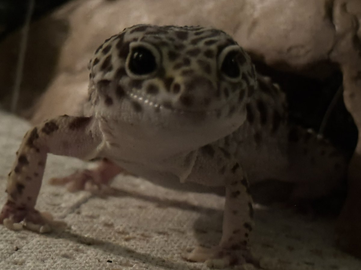 Ren ❤️‍🔥 tweet media