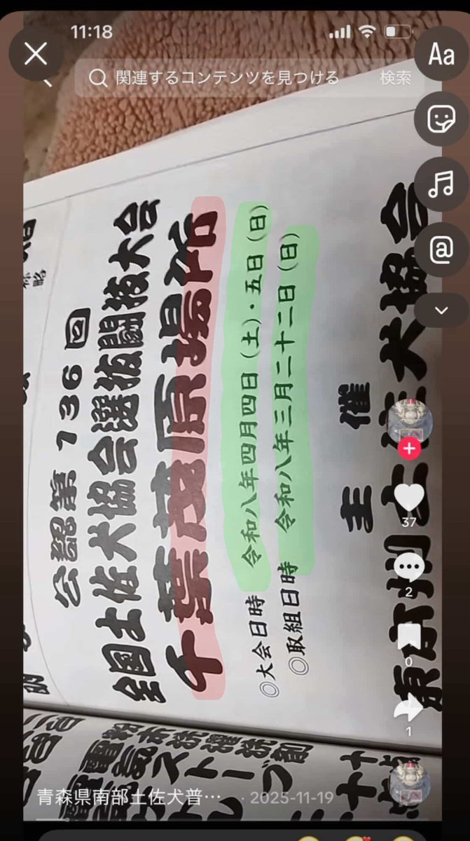 動物虐待を許さない😿🤬 tweet media