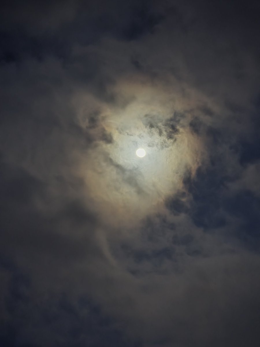 Şüheda tweet media