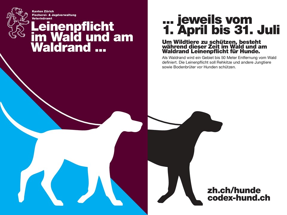 Seegraeben's tweet photo. Leinenpflicht  im Wald und am Waldrand vom 1. April bis 31. Juli https://t.co/V4vDmq5VaJ https://t.co/u5P3Bnasa3