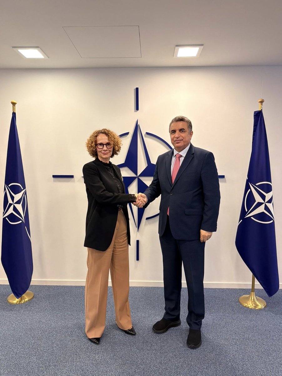 OTAN en français tweet media