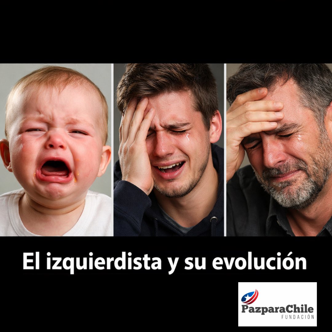 PazparaChile Fundacion tweet media