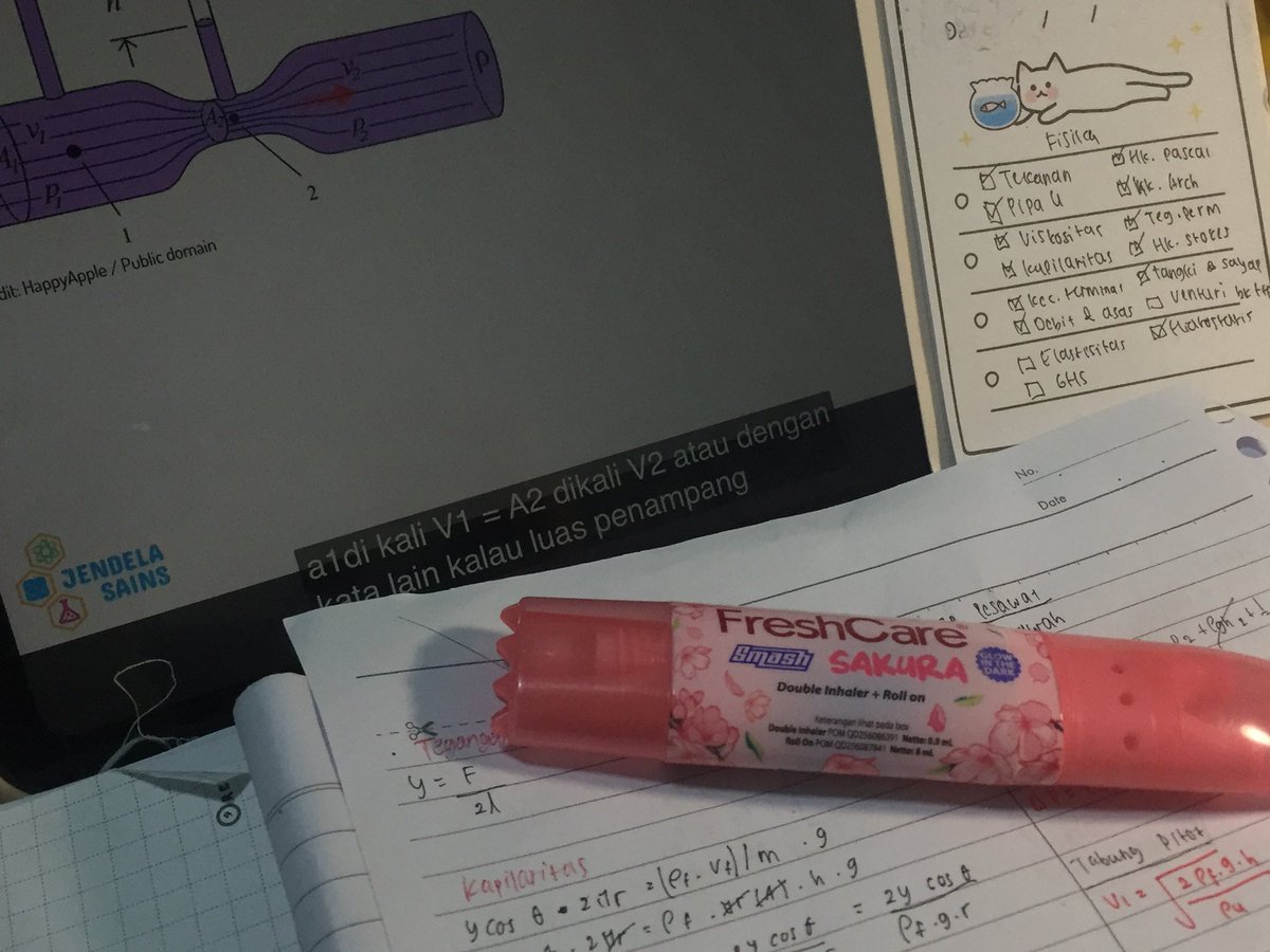 𓏭 𓈒 ૮ cαyα gαmαdα ˃̵ 𖥦 ˂̵ tweet media