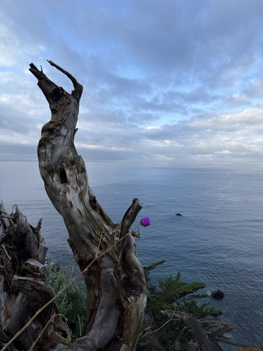 Edward Kemper tweet media