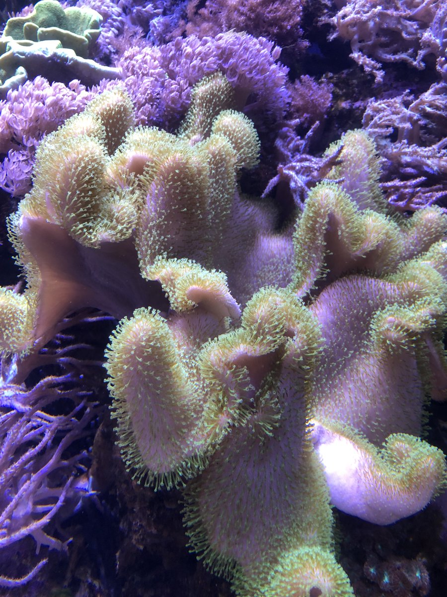 The Word Teaches tweet media