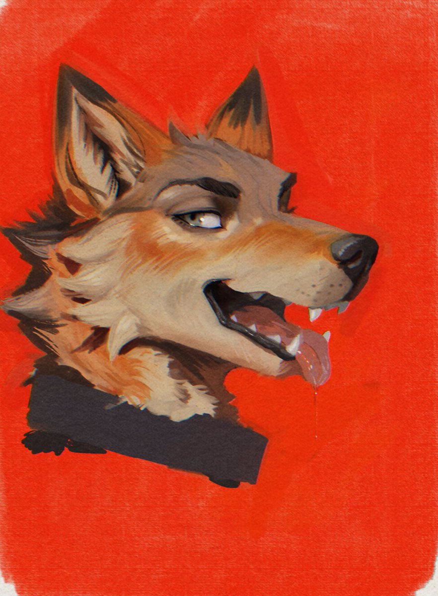 sabrotiger tweet media