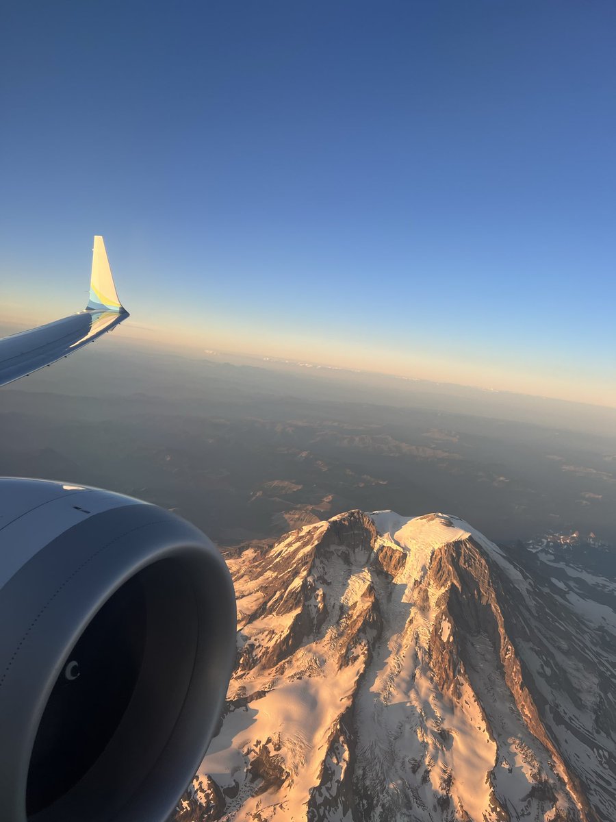 A Limited Liability Company tweet media