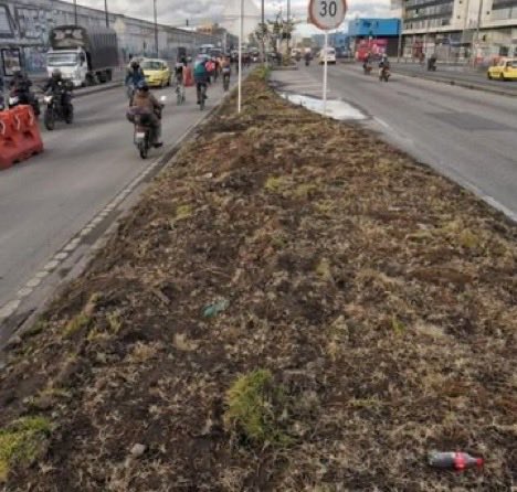 BogotáSostenible tweet media