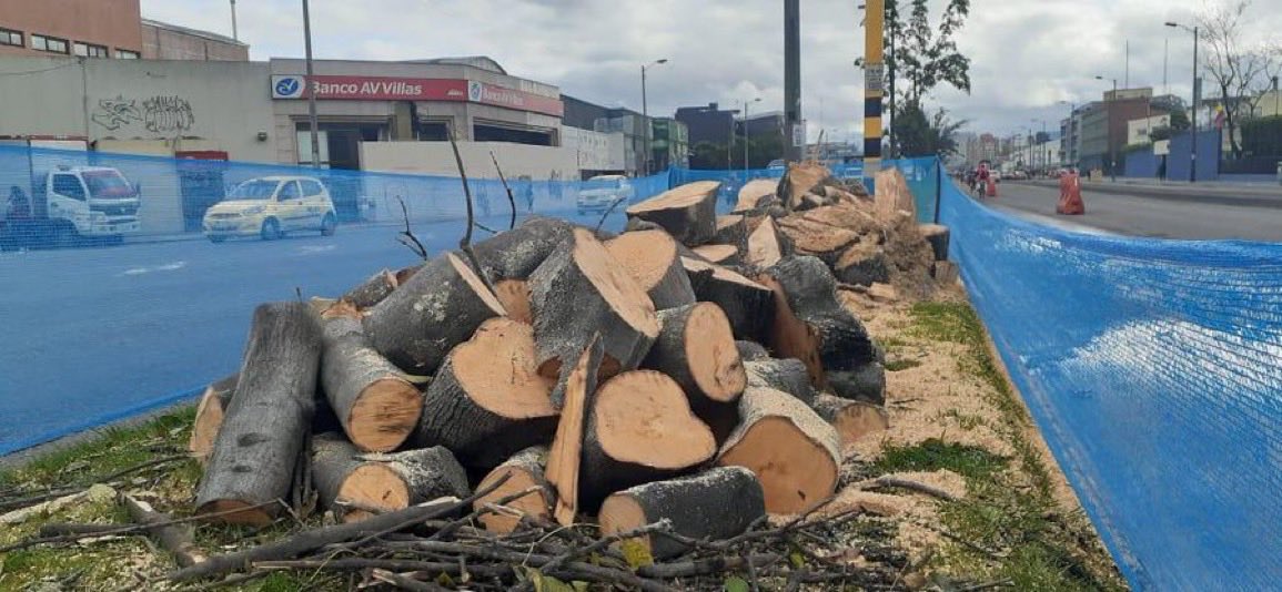 BogotáSostenible tweet media