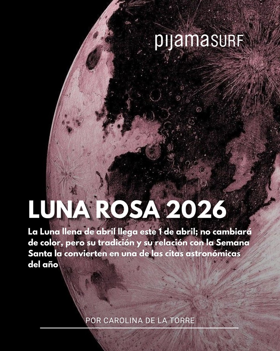 Pijama Surf tweet media