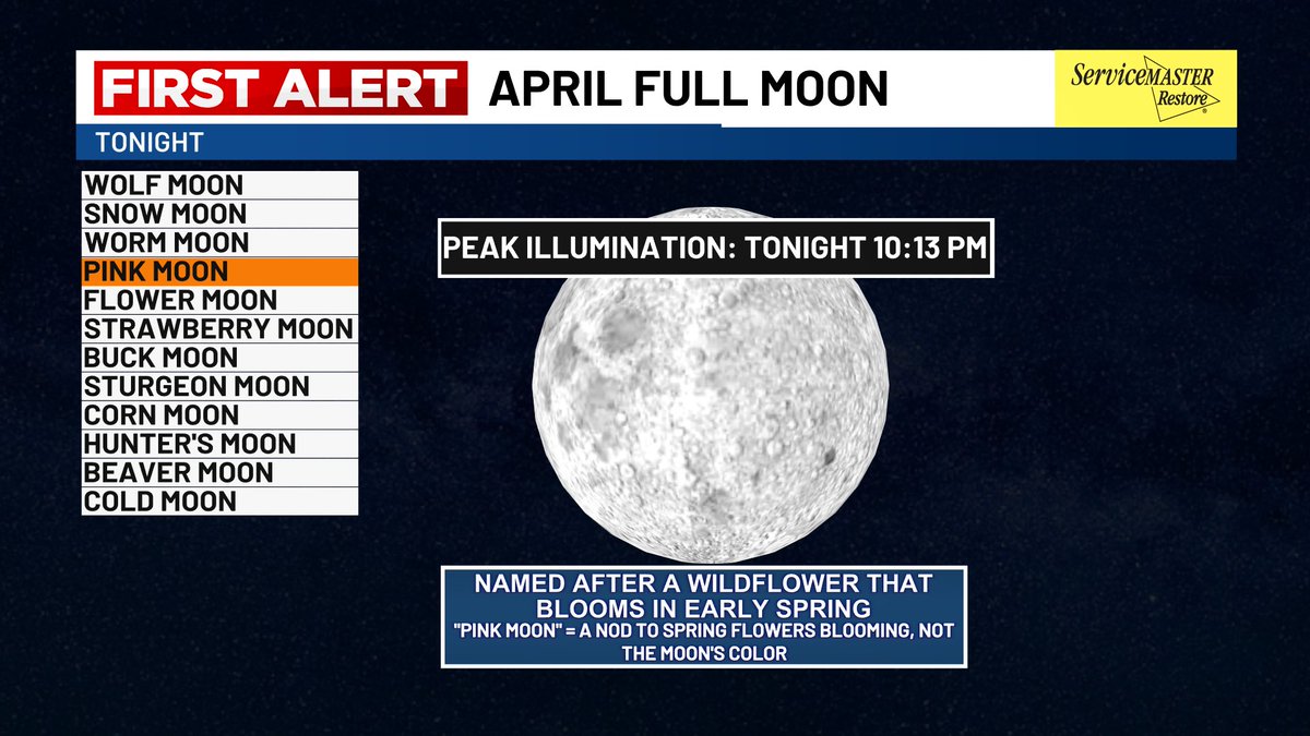 Lexie Horvath tweet media