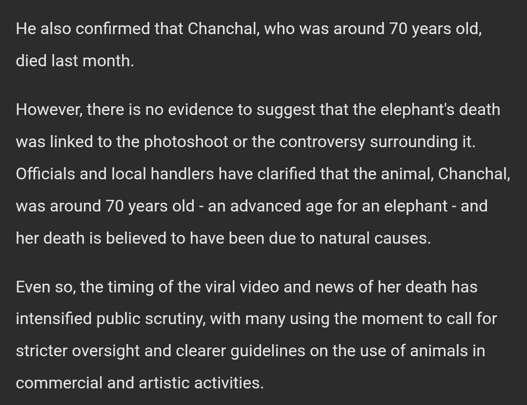 Sweechi🐇 tweet media