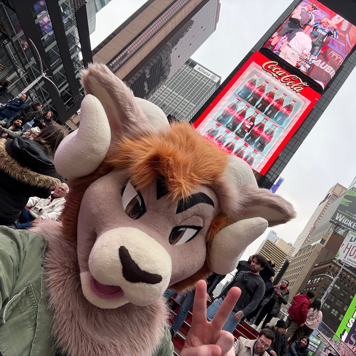 Sam the Ram 🐏 tweet media
