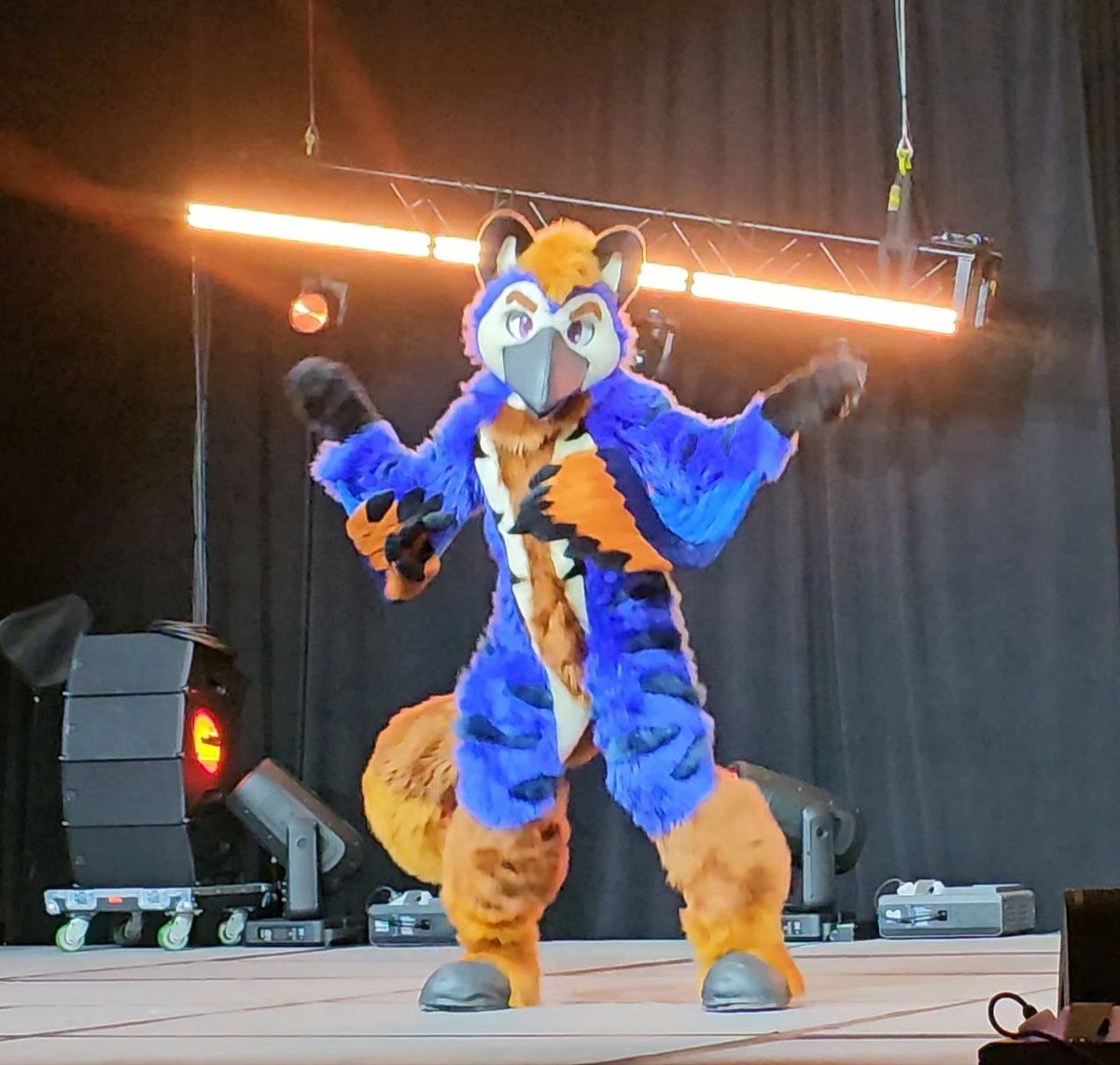 Sulfer or a birb 🔜 FWA? tweet media