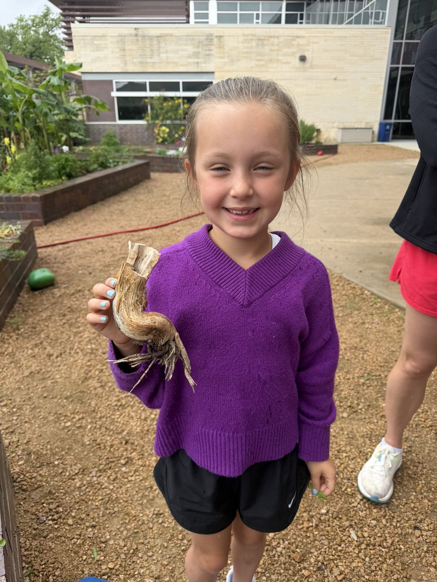 Celise Hamann tweet media