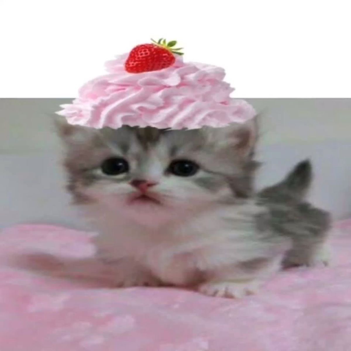 celine_afk's tweet image. ootd cuz im an angel🪽 #edtwt #bodycheck #cutecore