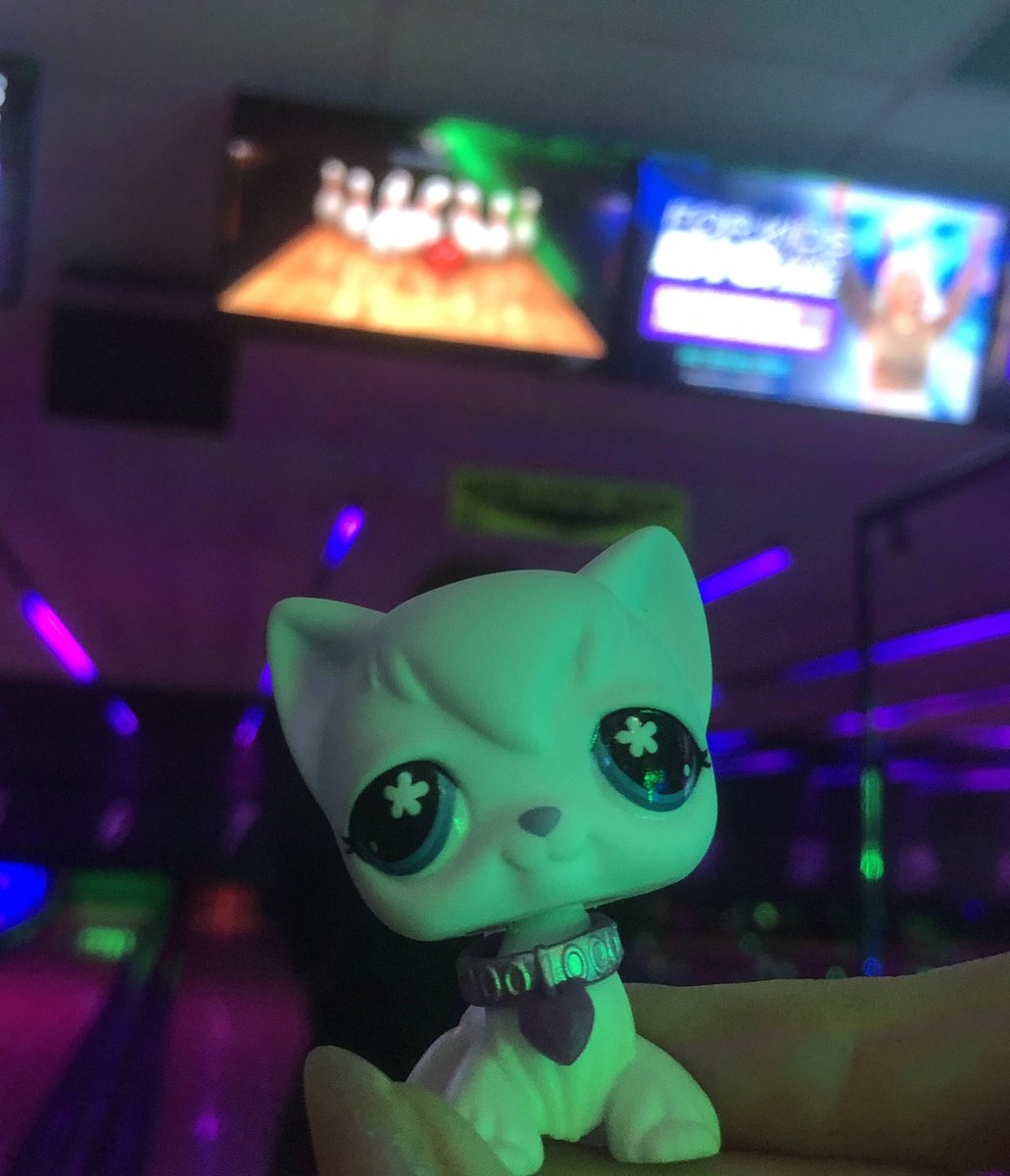 sylvie ^_^ tweet media