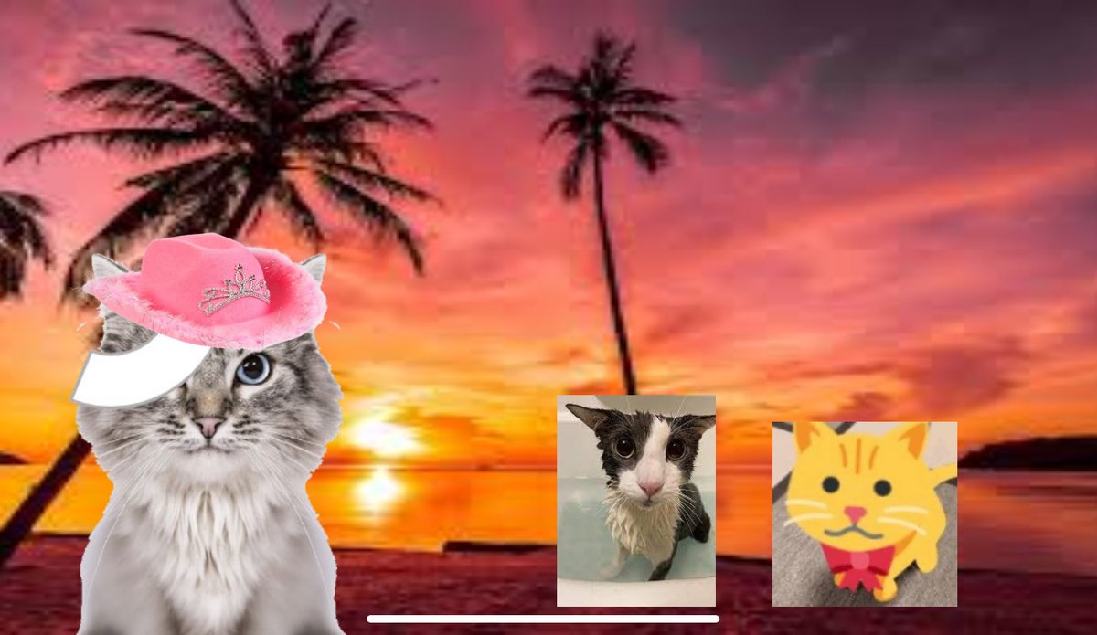 proxima awesoemcoolworld tweet media