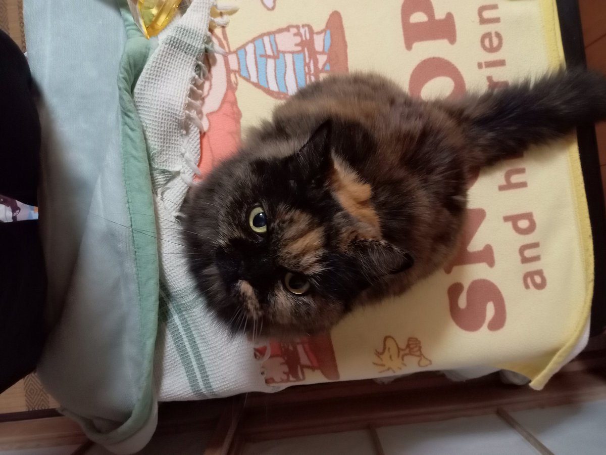 だげじー👷🌻💘　直ぐにポスト出来なくなるがなぁ😮‍💨いいねはしていくのでスンマソン🙇 tweet media