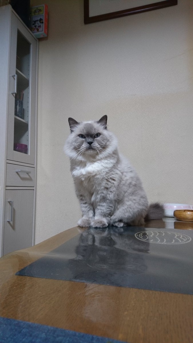 だげじー👷🌻💘　直ぐにポスト出来なくなるがなぁ😮‍💨いいねはしていくのでスンマソン🙇 tweet media