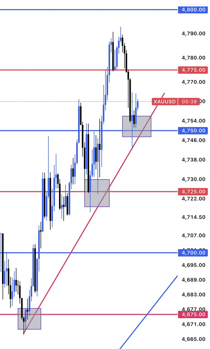 PROFF FOREX 📊 tweet media