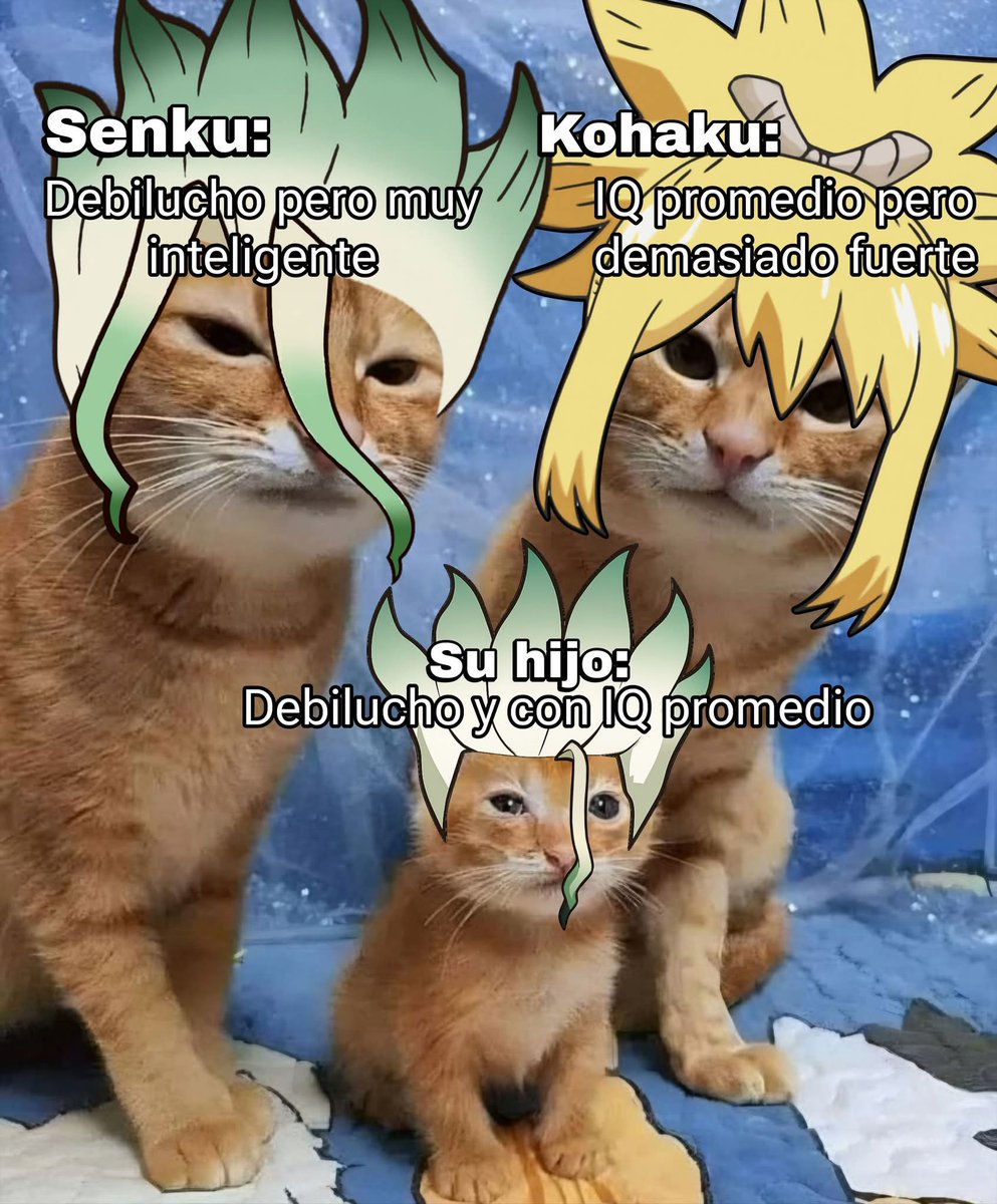 モスマン 🦋 𝗗𝗰𝘀𝘁 tweet media