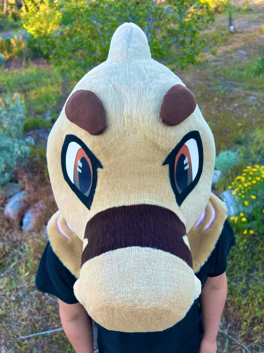 Bodozo 🇵🇸 tweet media